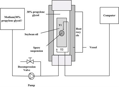 Building of Pressure-Assisted Ultra-High Temperature System and Its Inactivation of Bacterial Spores